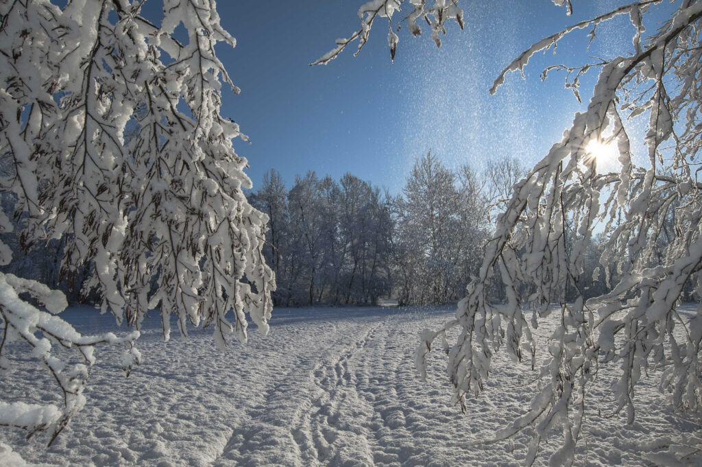 Palu QDP veste invernale