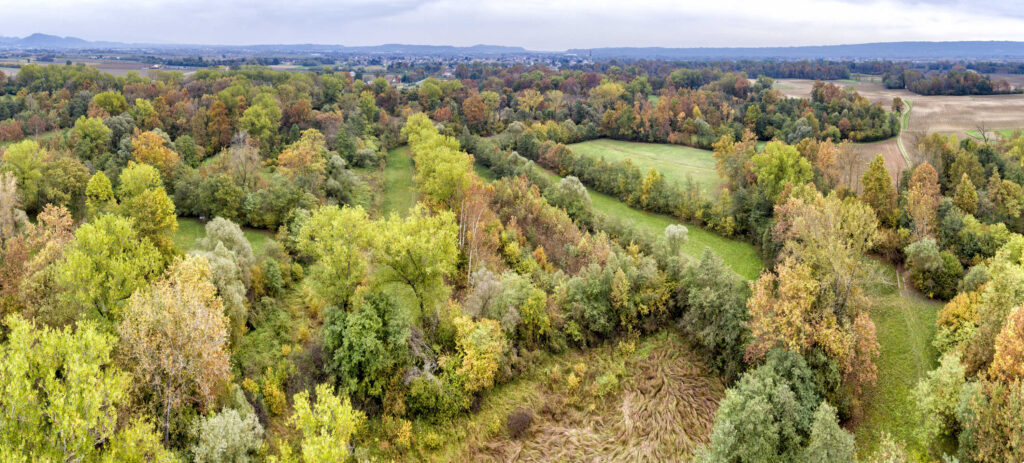 Palu QDP vista aerea 2