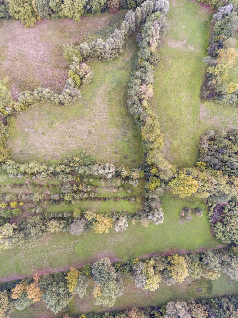 Palu QDP vista aerea dei campi chiusi