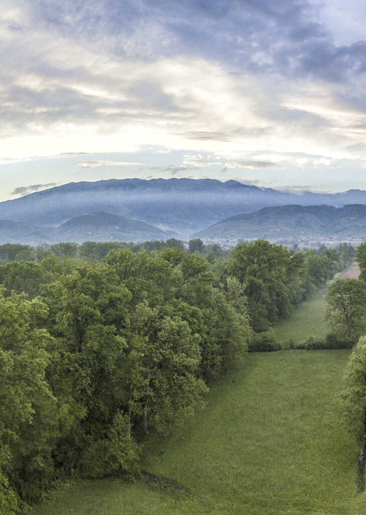 Palu QDP vista area allargata 1 1