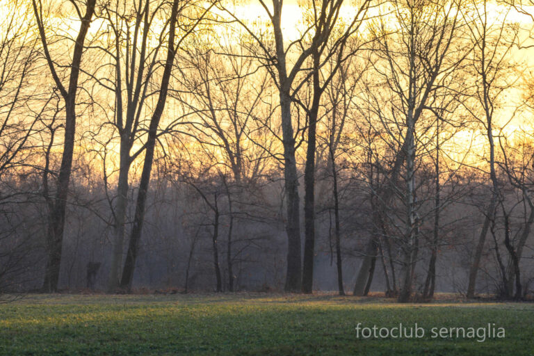 Il Castelliere di Sernaglia della Battaglia