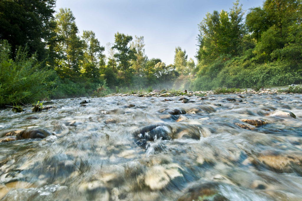 Fontane Bianche dettaglio