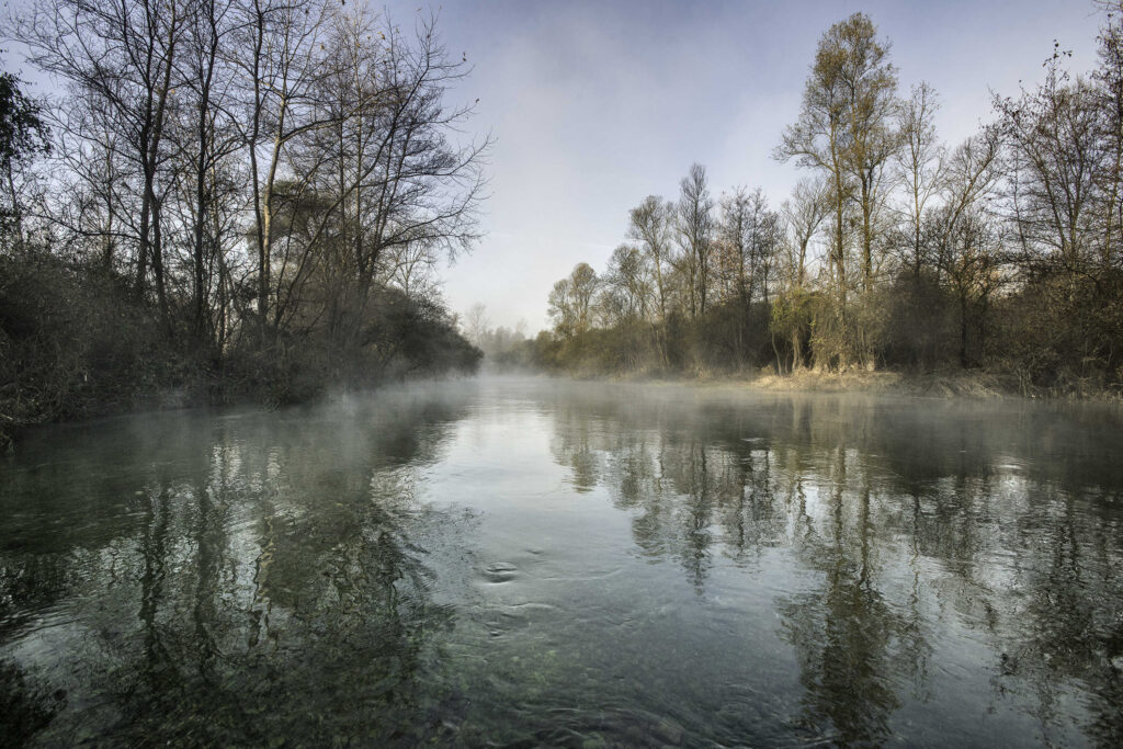 Fontane Bianche un ramo tipico